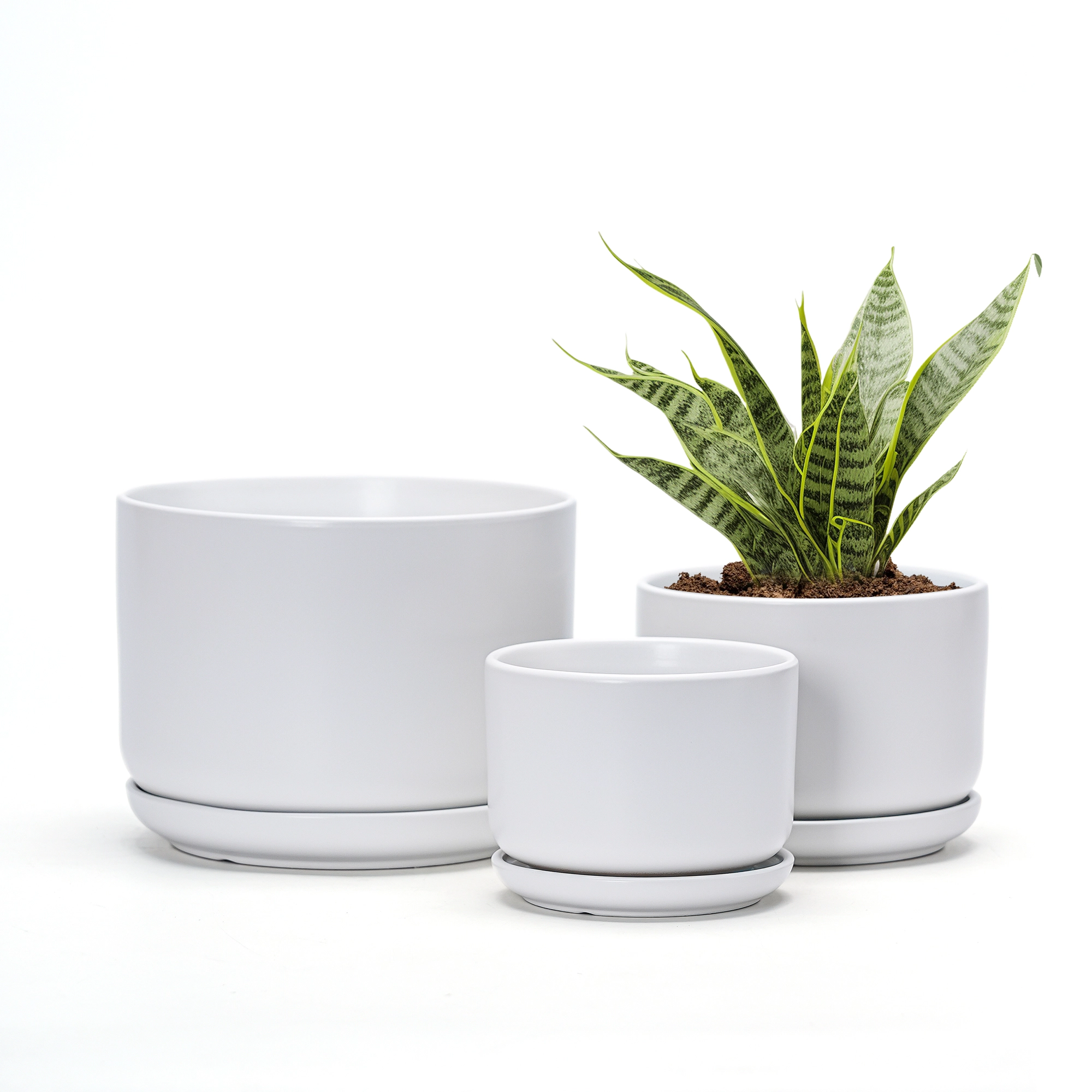Wholesale Matte White Ceramic Flower Pots – Modern Planters with Saucers in Bulk (3) Wholesale Matte White Ceramic Flower Pots – Modern Planters with Saucers in Bulk (3)