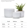 Wholesale Matte White Ceramic Flower Pots – Modern Planters with Saucers in Bulk (4)