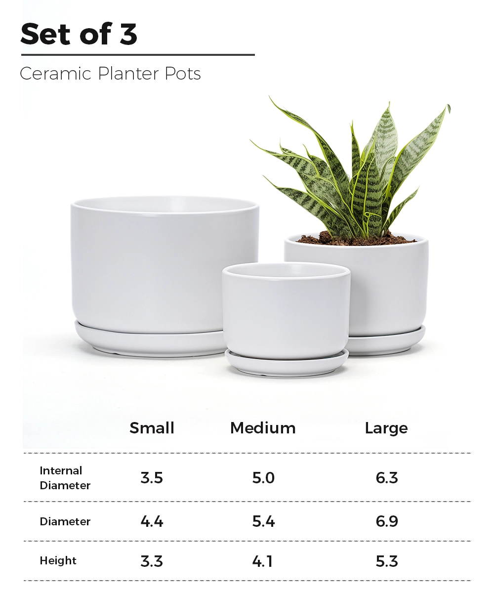 Wholesale Matte White Ceramic Flower Pots – Modern Planters with Saucers in Bulk (4) Wholesale Matte White Ceramic Flower Pots – Modern Planters with Saucers in Bulk (4)