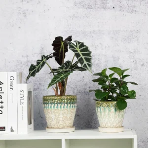 Wholesale Pattern Ceramic Flower Pots – Glazed Decorative Planters
