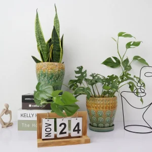 Wholesale Pattern Ceramic Flower Pots – Glazed Decorative Planters with Embossed Design
