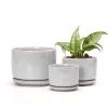 Wholesale Speckled Ceramic Flower Pots – Modern Planters