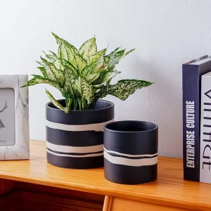 Wholesale Black Ceramic Flower Pot – Modern White Stripe Planter