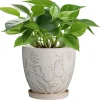 Wholesale Embossed Butterfly Ceramic Flower Pot – Elegant Glazed Planter (1)