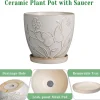 Wholesale Embossed Butterfly Ceramic Flower Pot – Elegant Glazed Planter