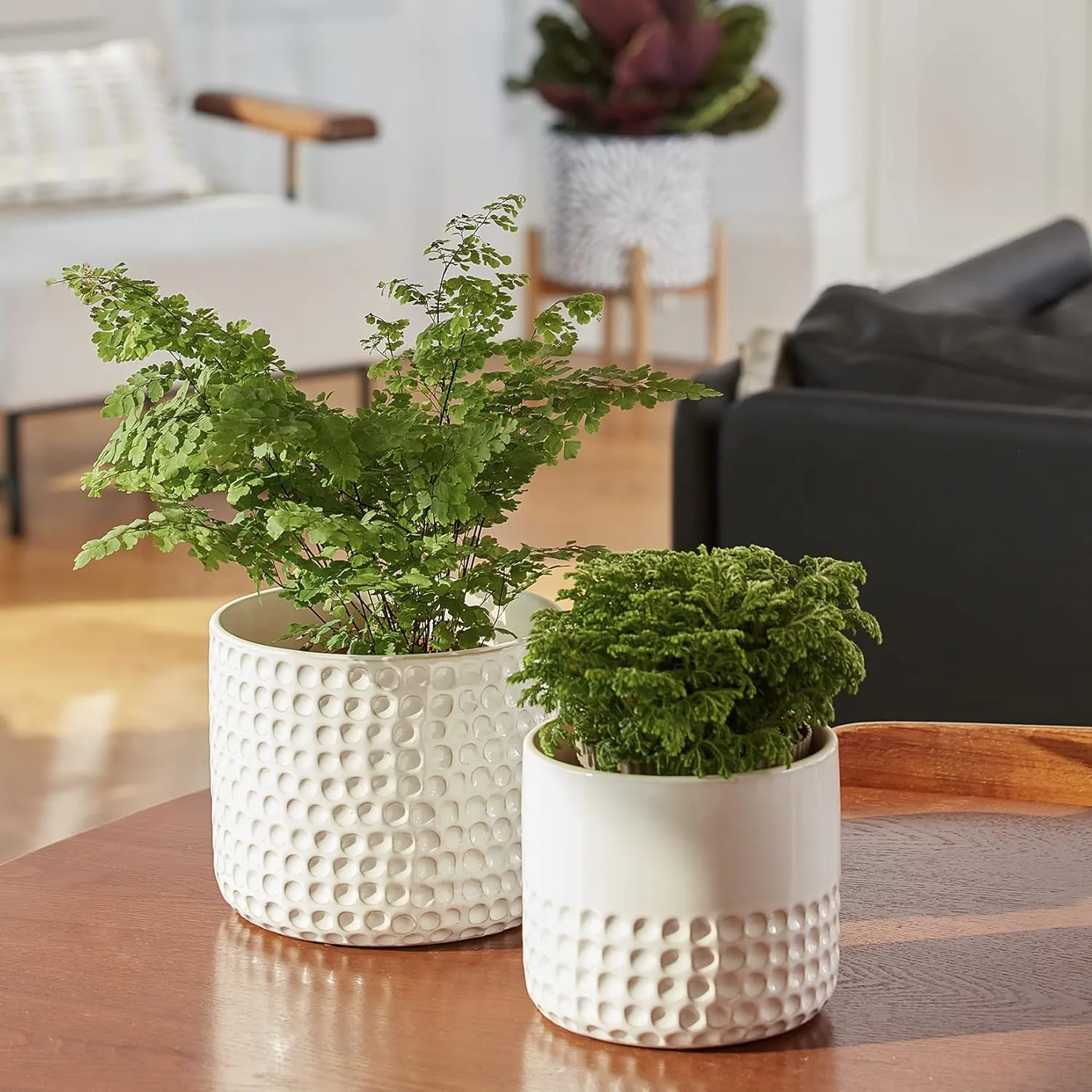Wholesale Embossed Dot Ceramic Flower Pot – Modern White Textured Planter (4) Wholesale Embossed Dot Ceramic Flower Pot – Modern White Textured Planter (5)