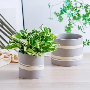 Wholesale Grey Ceramic Flower Pot – Modern White Stripe Planter