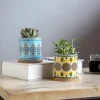 Wholesale Pattern Ceramic Flower Pots – Colorful Bohemian Planters (1)