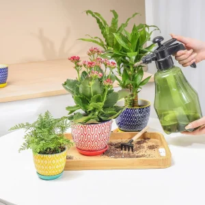 Wholesale Pattern Ceramic Flower Pots – Modern Colorful Planters