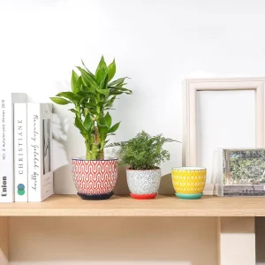 Wholesale Pattern Ceramic Flower Pots – Modern Colorful Planters (2)
