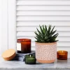 Wholesale Pattern Ceramic Flower Pots – Terracotta White Embossed Planters (1)