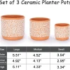 Wholesale Pattern Ceramic Flower Pots – Terracotta White Embossed Planters (4)