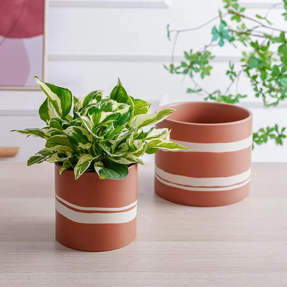 Wholesale Terracotta Ceramic Flower Pot  Modern White Stripe Planter