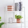 Wholesale Terracotta Ceramic Flower Pot – Modern White Stripe Planter