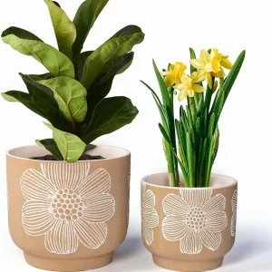 Wholesale Beige Ceramic Flower Pot – Embossed White Floral Design Planter (1)