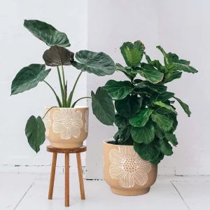 Wholesale Beige Ceramic Flower Pot – Embossed White Floral Design Planter (3)