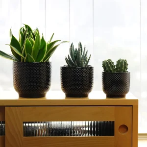 Black Textured Ceramic Planter Set for Wholesale