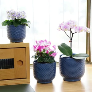 Deep blue Textured Ceramic Planter Set for Wholesale