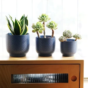 Deep blue Textured Ceramic Planter Set for Wholesale