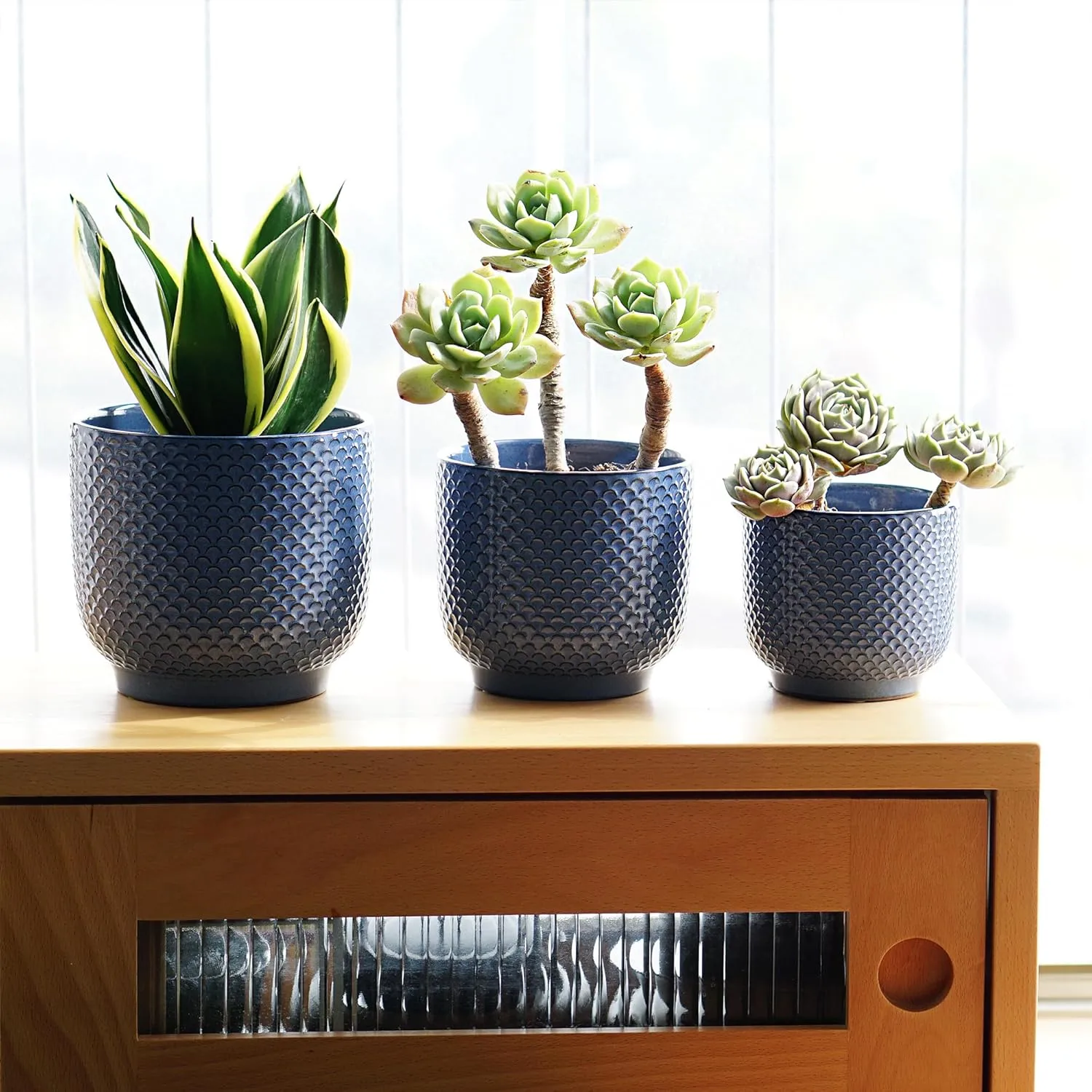 Deep blue Textured Ceramic Planter Set for Wholesale