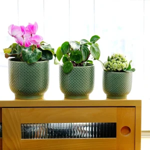 Green Textured Ceramic Planter Set for Wholesale
