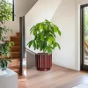 Rust Reactive Glaze Ceramic Planter – Wholesale Fluted Flower Pot