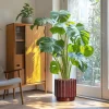 Rust Reactive Glaze Ceramic Planter – Wholesale Fluted Flower Pot