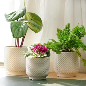 Textured Ivory Ceramic Planter Set for Wholesale