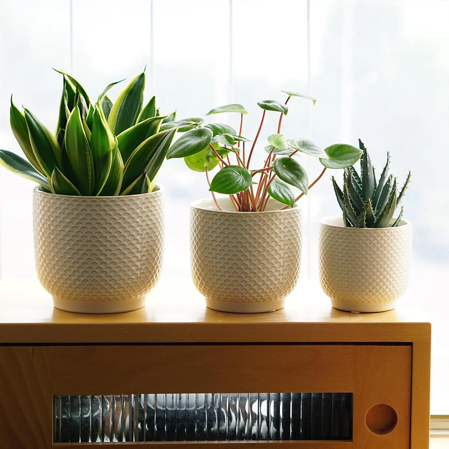 Textured Ivory Ceramic Planter Set for Wholesale