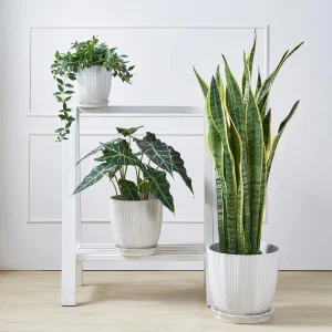 White Ceramic Flower Pot with Saucer for Wholesale