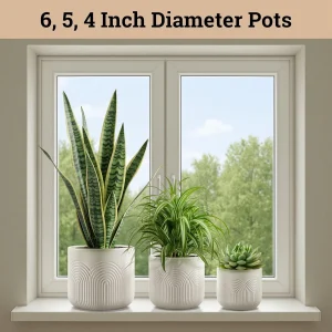 Wholesale white Ceramic Planter Set – Modern Embossed Design