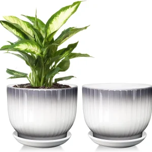 Gradient White Ribbed Ceramic Planter with Saucer for Wholesale