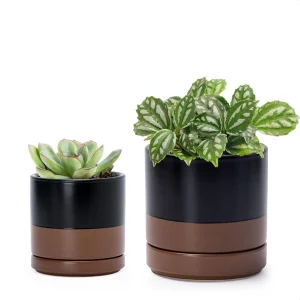 Modern Two-Tone Ceramic Planter Set for Wholesale