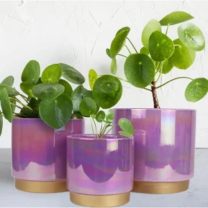 Purple Ceramic Planter with Gold Base – Wholesale Collection