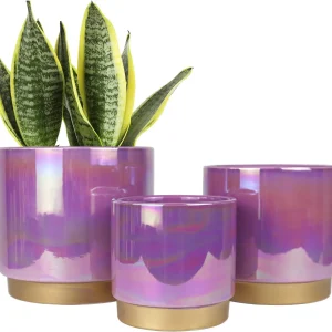 Purple Ceramic Planter with Gold Base – Wholesale Collection