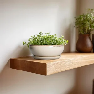 Shallow Ceramic Bonsai Planter with Saucer for Wholesale