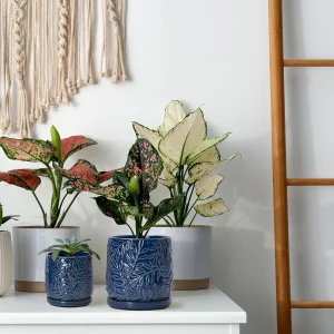 Small Blue Ceramic Planter Set for Wholesale