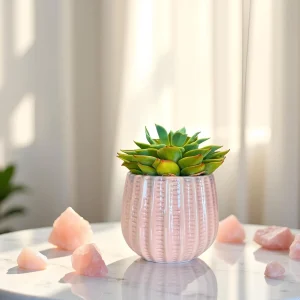 Blush Ribbed Ceramic Planter - Glaze Collection Wholesale