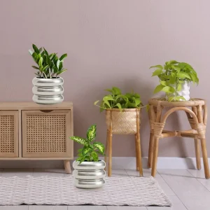 Modern Silver Ceramic Pots Wholesale Decorative Planters