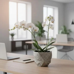 Wholesale Ribbed Terracotta Pots Bulk Ceramic Planters