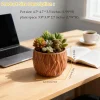 Wholesale Textured Ceramic Flower Pots Manufacturer Supply