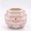 pink-striped-ceramic-flower-pot