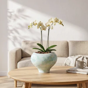 Wholesale Textured Ceramic Planter with Rounded Pedestal Base