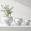 Wholesale Ceramic Flower Pots with Floral Botanical Design