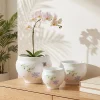 Wholesale Ceramic Flower Pots with Floral Botanical Design