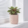 Wholesale Crosshatch Ceramic Plant Pot – Textured Indoor Planter