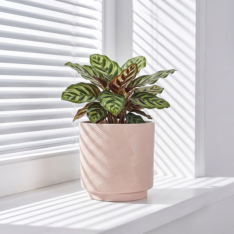 Wholesale Crosshatch Ceramic Plant Pot – Textured Indoor Planter (1) Wholesale Crosshatch Ceramic Plant Pot – Textured Indoor Planter