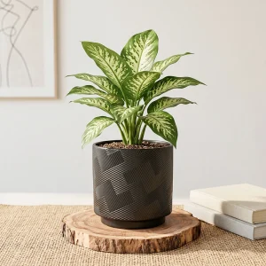 Wholesale Crosshatch Ceramic Plant Pot – Textured Indoor Planter