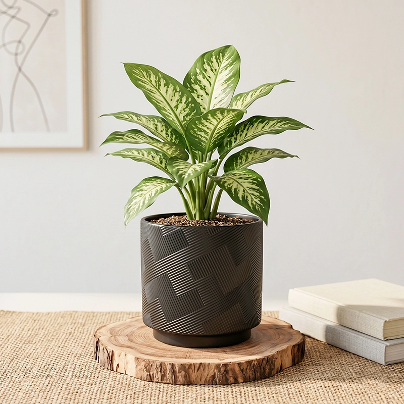 Wholesale Crosshatch Ceramic Plant Pot – Textured Indoor Planter (3) Wholesale Crosshatch Ceramic Plant Pot – Textured Indoor Planter