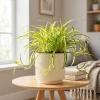 Wholesale Crosshatch Ceramic Plant Pot – Textured Indoor Planter